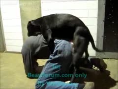 Hard-working construction worker acquires off and heads home for beastiality sex with a K9 